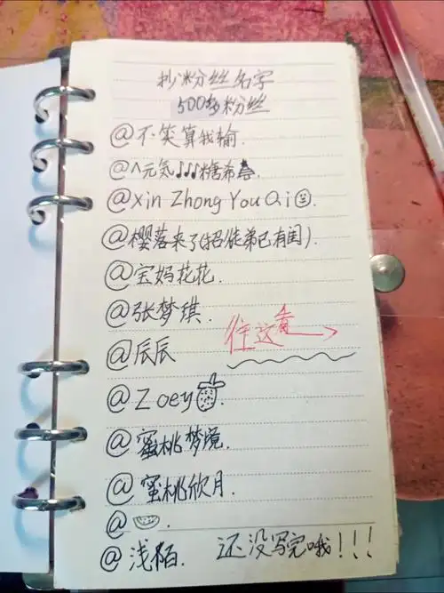 抄粉丝名字第二弹第一期