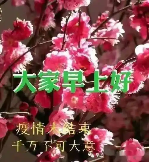 大家早上好,抗疫祝福图带字精选,真诚祝福,健康平安!