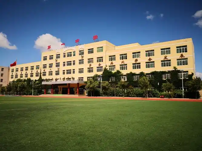 挺身而出 英雄无惧———阜蒙县第一中学党总支教工一支部全体党员学