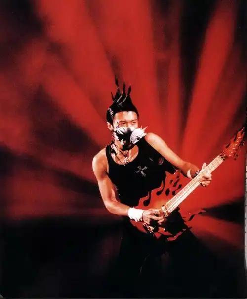 谢霆锋演唱会造型