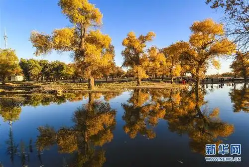 【高清图集】展开美丽中国的金秋画卷