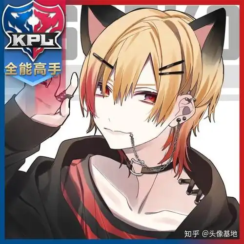 王者荣耀kpl全能高手头像kpl职业头像