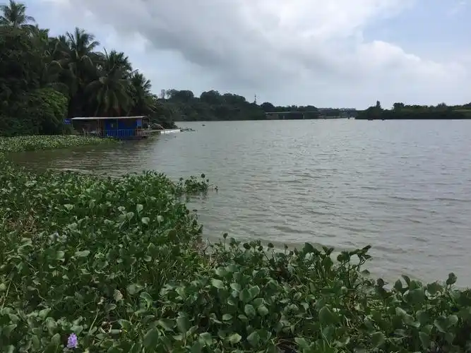 2023七宝莲池游玩攻略,.一体化的一个景点,风景秀.【去哪儿攻略】