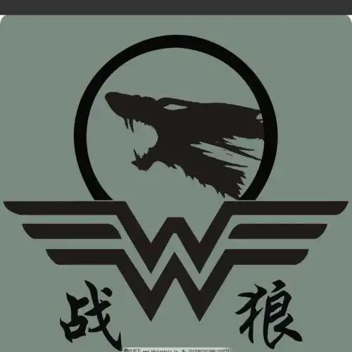 战狼真人cs俱乐部