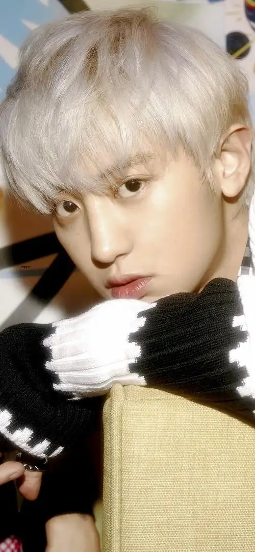 exo朴灿烈crpepperqiu