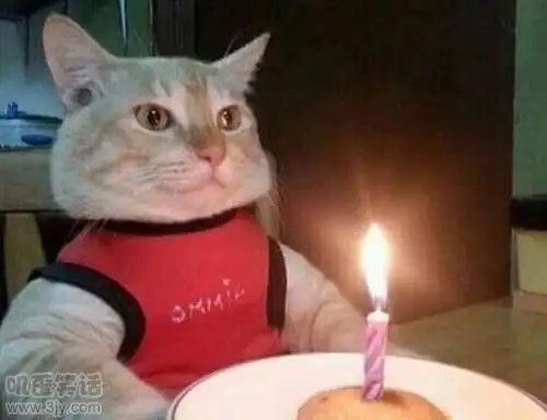 快给我唱生日快乐歌 - 搞笑图片 - 查字典