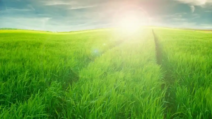 唯美清新护眼高清壁纸_淡雅好看风景