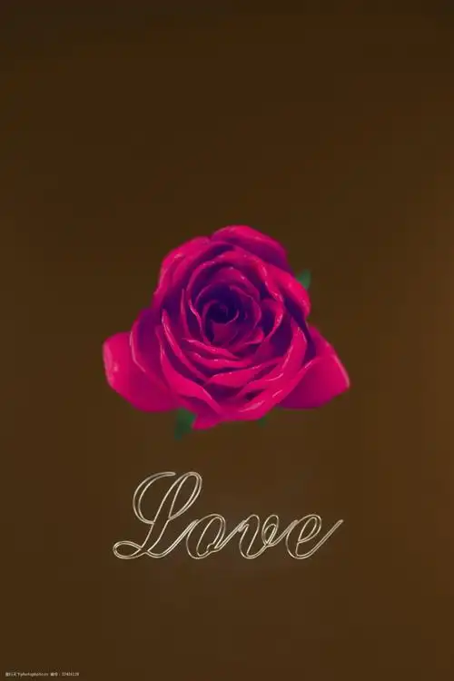 浪漫的情人节玫瑰花背景