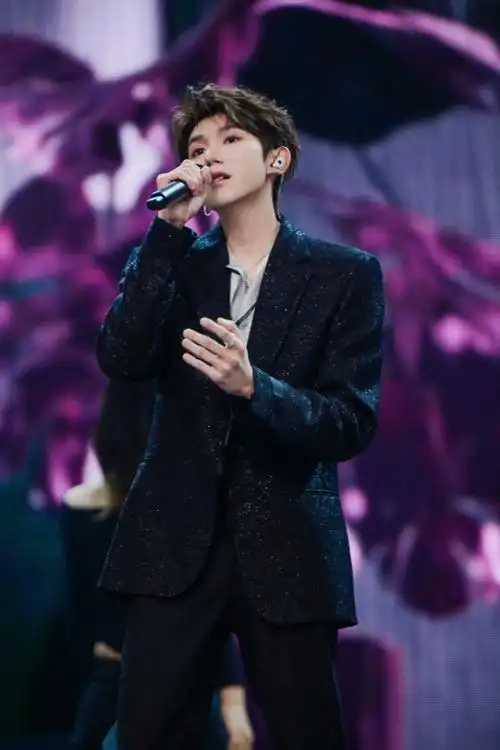 王源tmea绿海##唱跳歌手王源