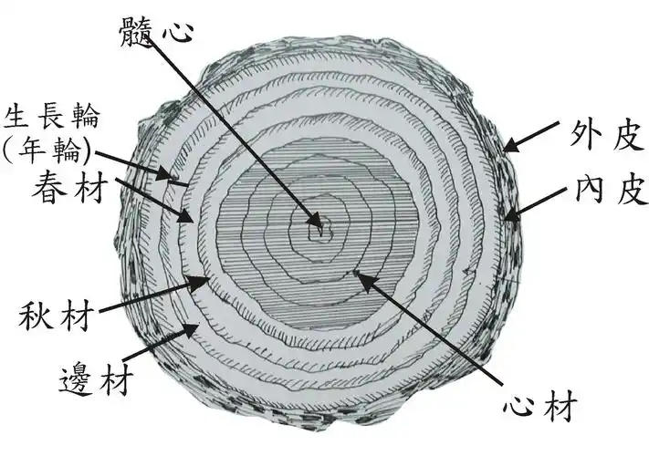 木材三切面 | 相簿分类 | 黑胡桃网路阁