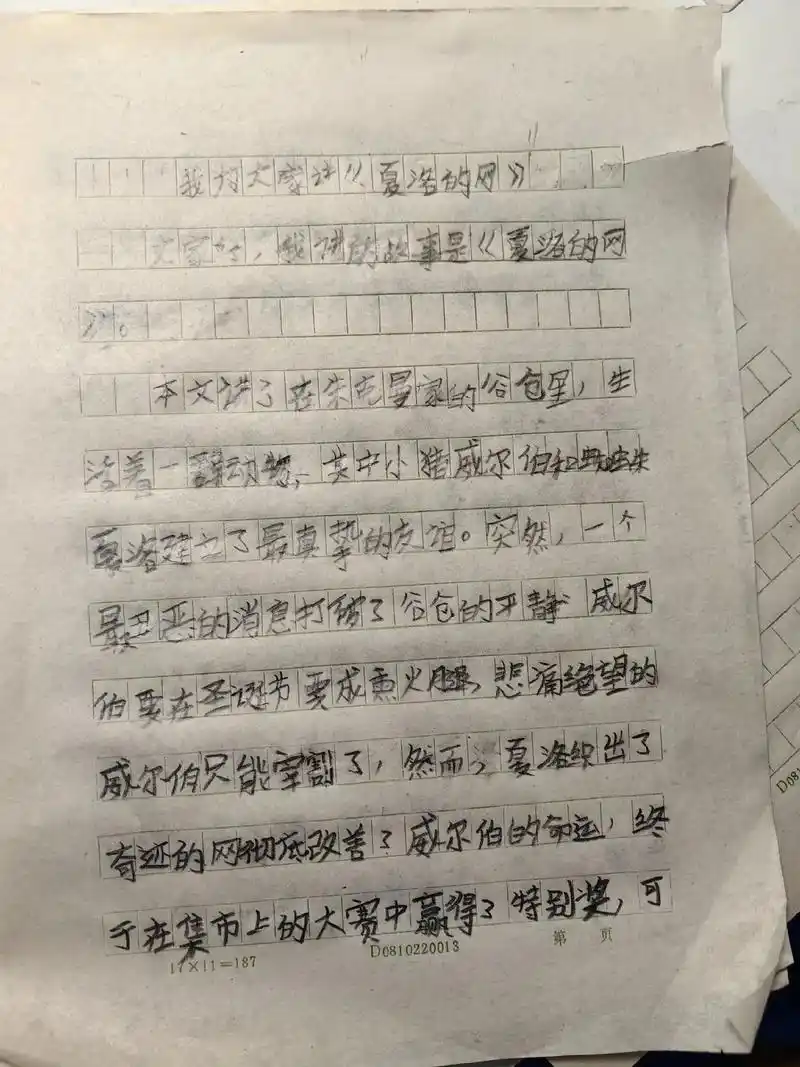 大儿子第一篇很正式的作文,