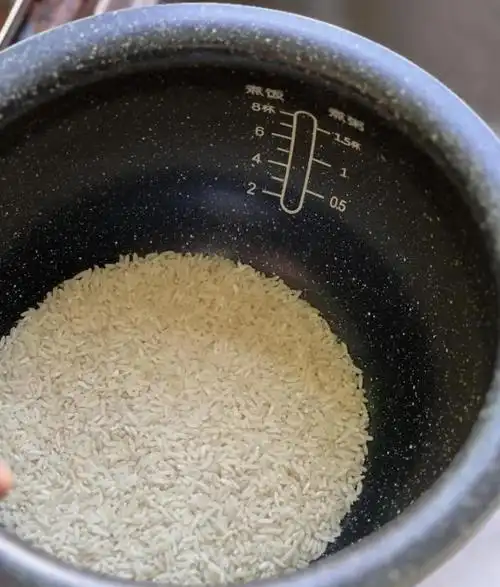 2024新年电饭煲选购攻略电饭煲什么内胆最好ih电饭煲怎样