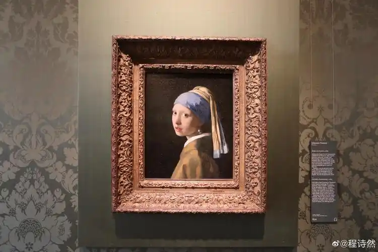 约翰内斯维米尔的代表作品戴珍珠耳环的少女让许多艺术家为之倾
