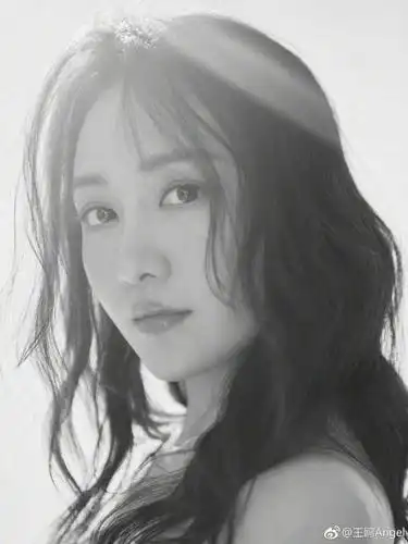 如何评价王鸥的长相?