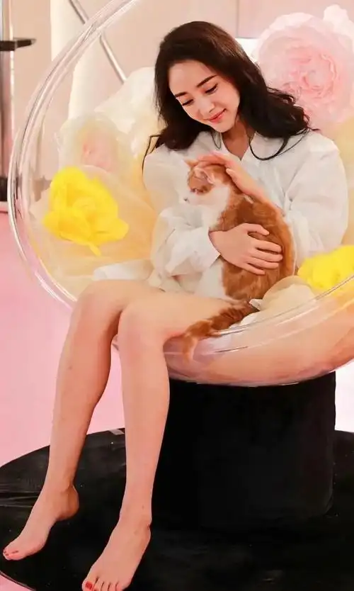 杨幂坐着都美艳绝伦