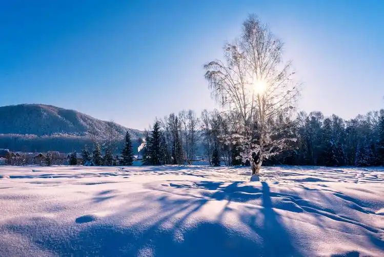 wk4,jan 2020~唯美自然风光&花鸟&画意精品影展专辑