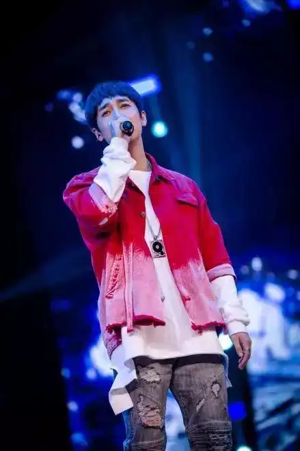 王野歌手个人资料