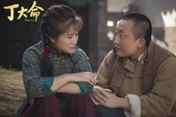 作为长工的丁大命"误打误撞"加入游击队…更多>首