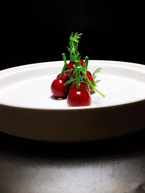 写美篇秦皇岛冷菜协会会长 秦皇冷艺团队创始人 2018授予创意菜,传承