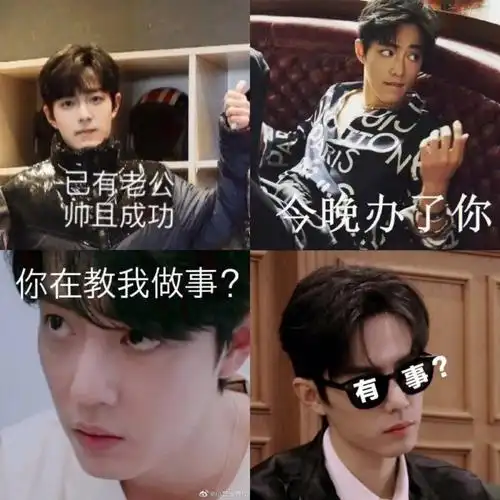 肖战表情包分享