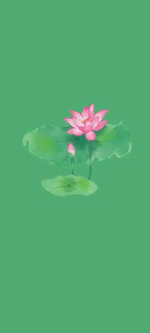 清新绿色护眼荷花壁纸