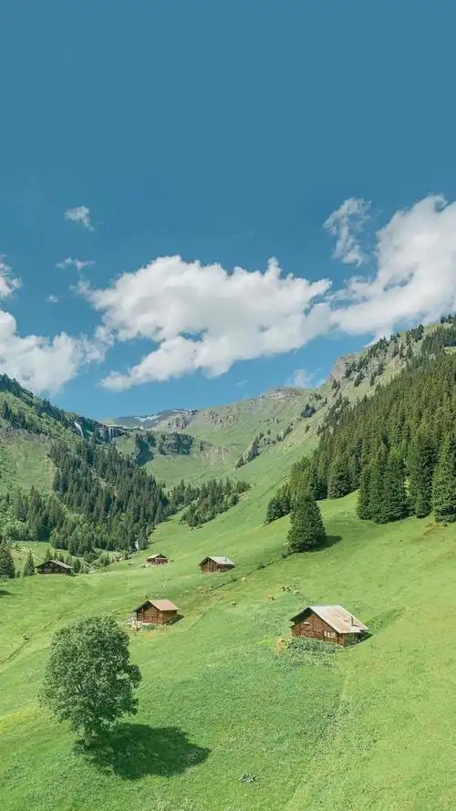 一望无际的迷人草原风景,高清图片,手机锁屏桌面-壁纸族