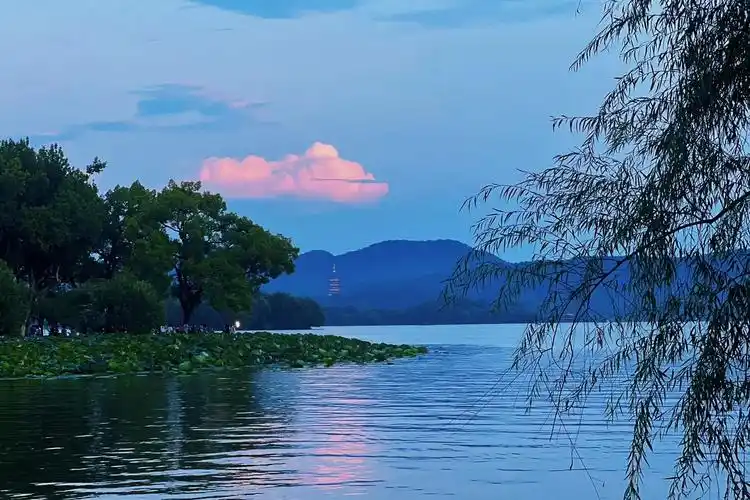 夏日的西湖荷塘有多美 #治愈系风景 #杭州西湖 总要来一次 - 抖音