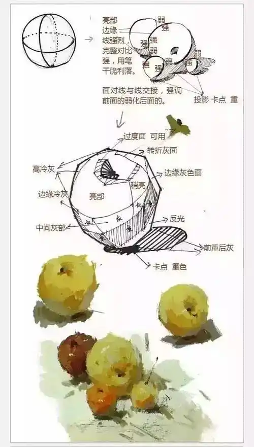 您只需一步就可以免费获取我们的大量教程领取免费课程免费画