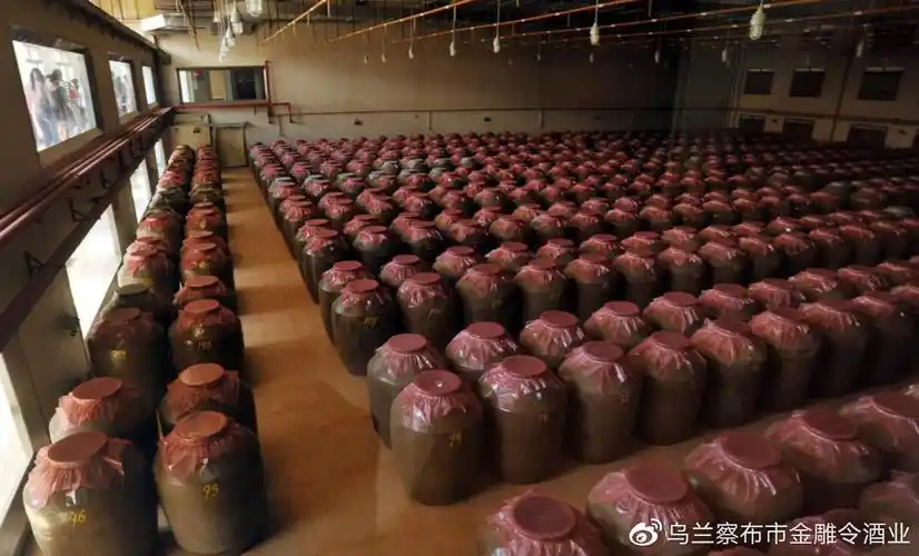金雕令酒业地下酒窖,是几千年酒文化的传承,岁月的沉淀,时间润物的