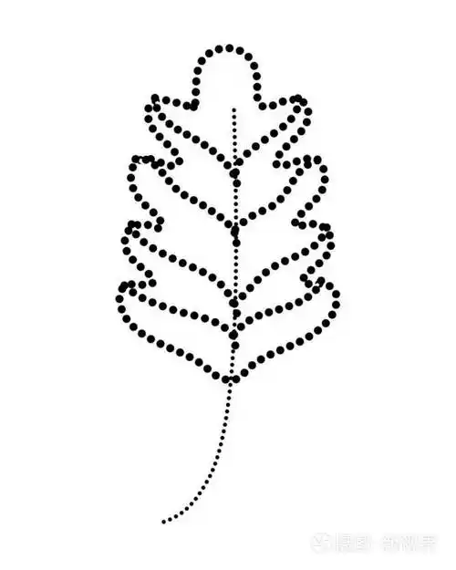 虚线羽状叶热带自然植物矢量图