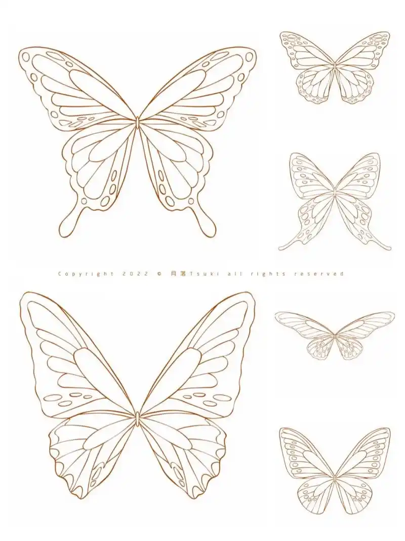 蝴蝶本蝶线稿来啦 ☆  画个蝴蝶线稿 67      |17119311)っ