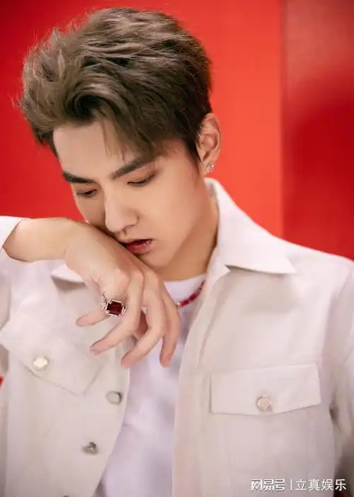 加拿大艺人吴亦凡强奸,聚众淫乱终食恶果 在这里谁也没有护身符|乐器