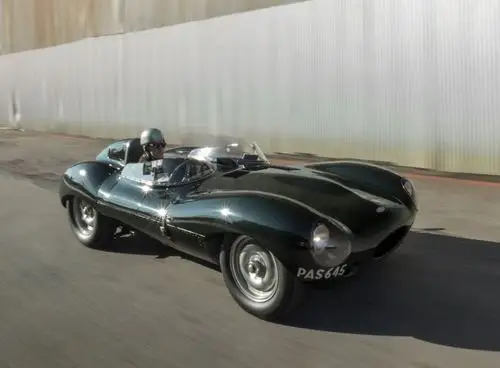 jaguar d-type year: 1955