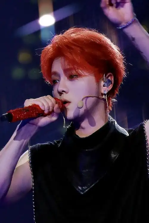 鹿晗三巡演唱会