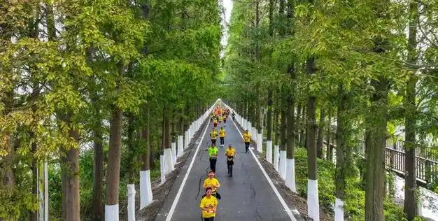 万人规模的湖北马拉松赛事即将来袭!