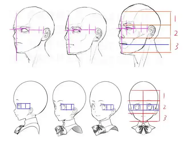 关于人体头部的概括以及三庭五眼到底是什么