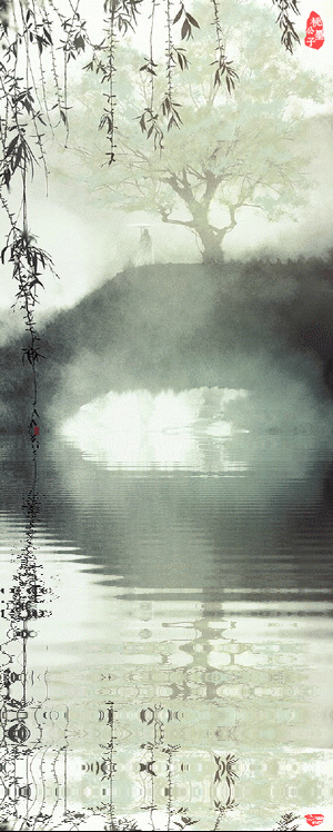 300_748竖版 竖屏gif 动态图 动图