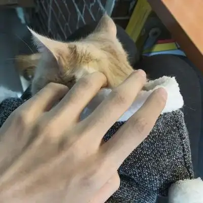 手控头像男生好看的手手79月牙儿