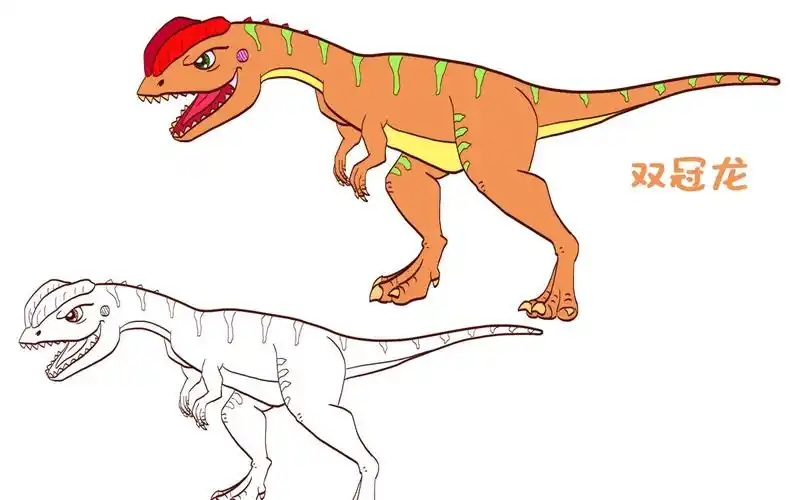 简笔画大全,双冠龙