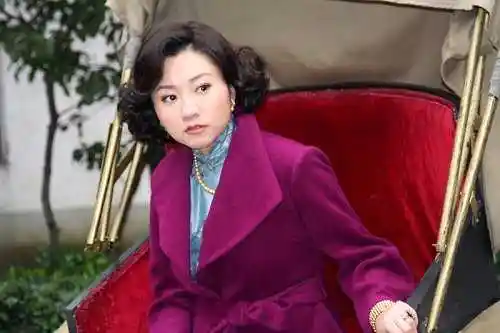 被称年代版"容嬷嬷" 王晴《母亲心》四面楚歌