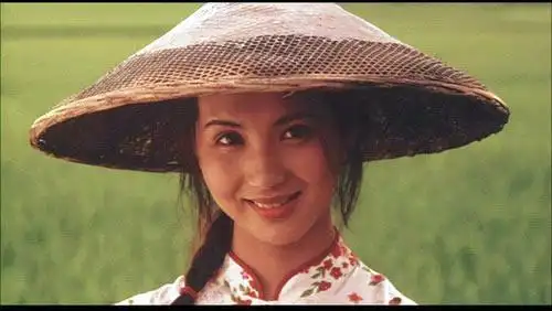 陈好的手表那来的?26页