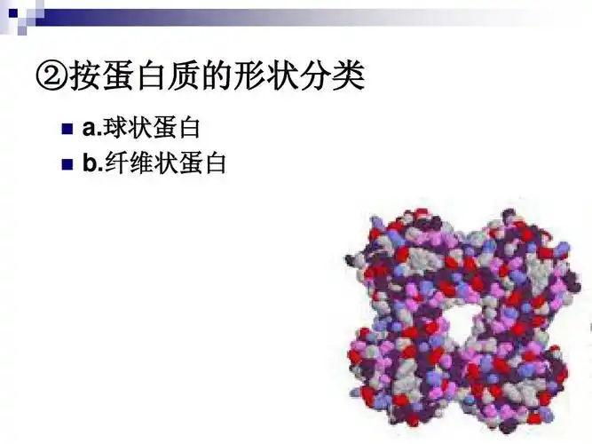 《烹饪营养学》第三讲 蛋白质ppt