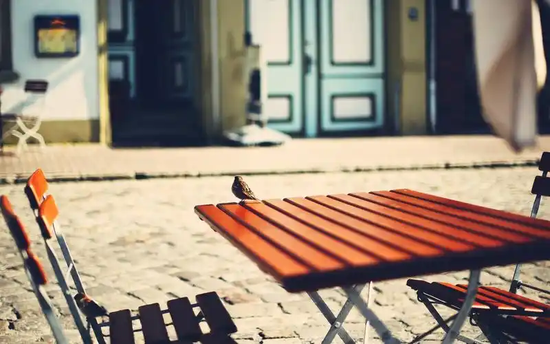 小鸟,桌椅,文艺,安静,小鸟壁纸图片