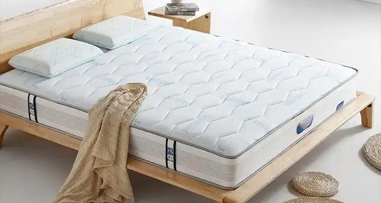 珀兰环保棕 钛合金弹簧床垫 席梦思棕垫 偏硬睡感