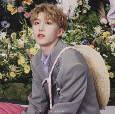 范丞丞粉色头像