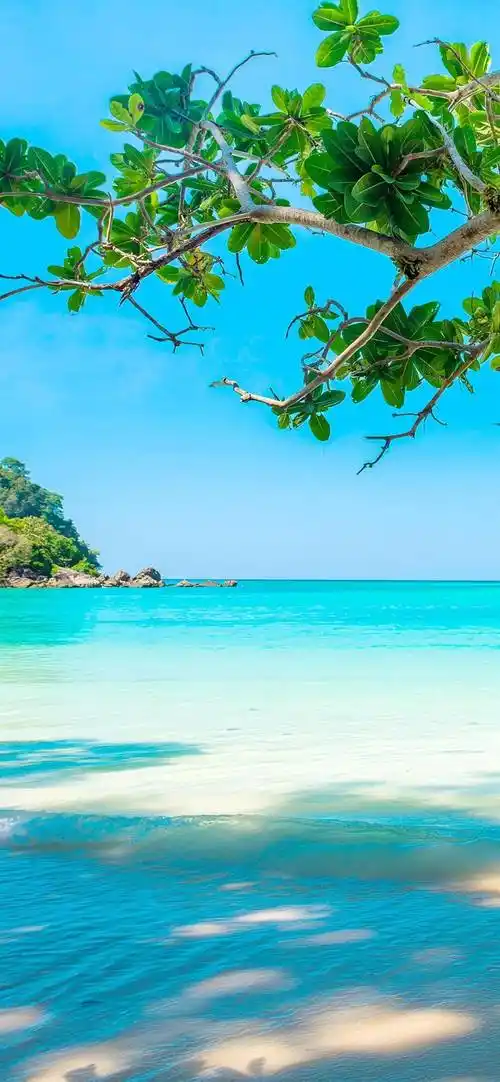 壁纸 | iphone 4k 高质感壁纸