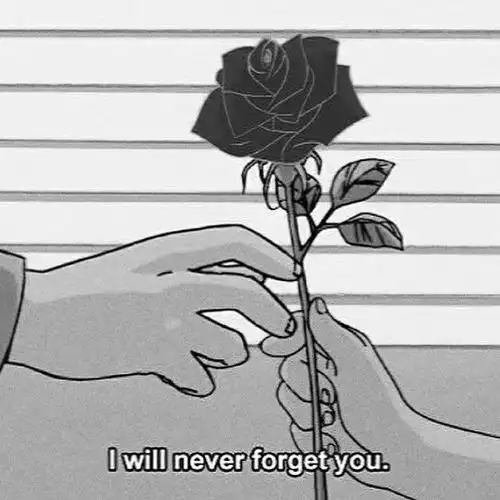 qq空间 名片 访客封面背景图 键盘背景图