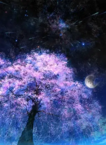 星空樱花手绘插画壁纸桌面(请务必最大化 拜托了tat "桜座(おうざ)"