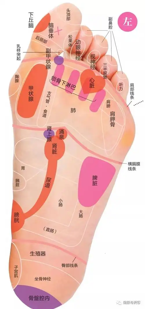 孙俪的袜子都是穴位按摩脚底反射区能抗衰老