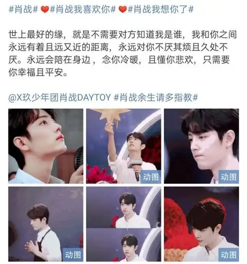 粉丝向肖战表达爱意一句话27字告白偶像文采让人佩服